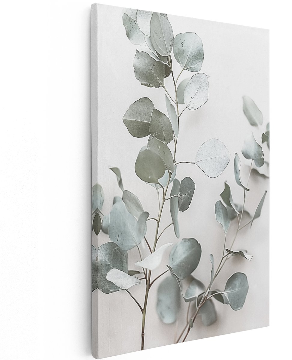 Artaza Canvas Schilderij Eucalyptus Bladeren op een Witte Achtergrond - 120x180 cm - Groot - Wanddecoratie Woonkamer - Schilderijen - Muurdecoratie
