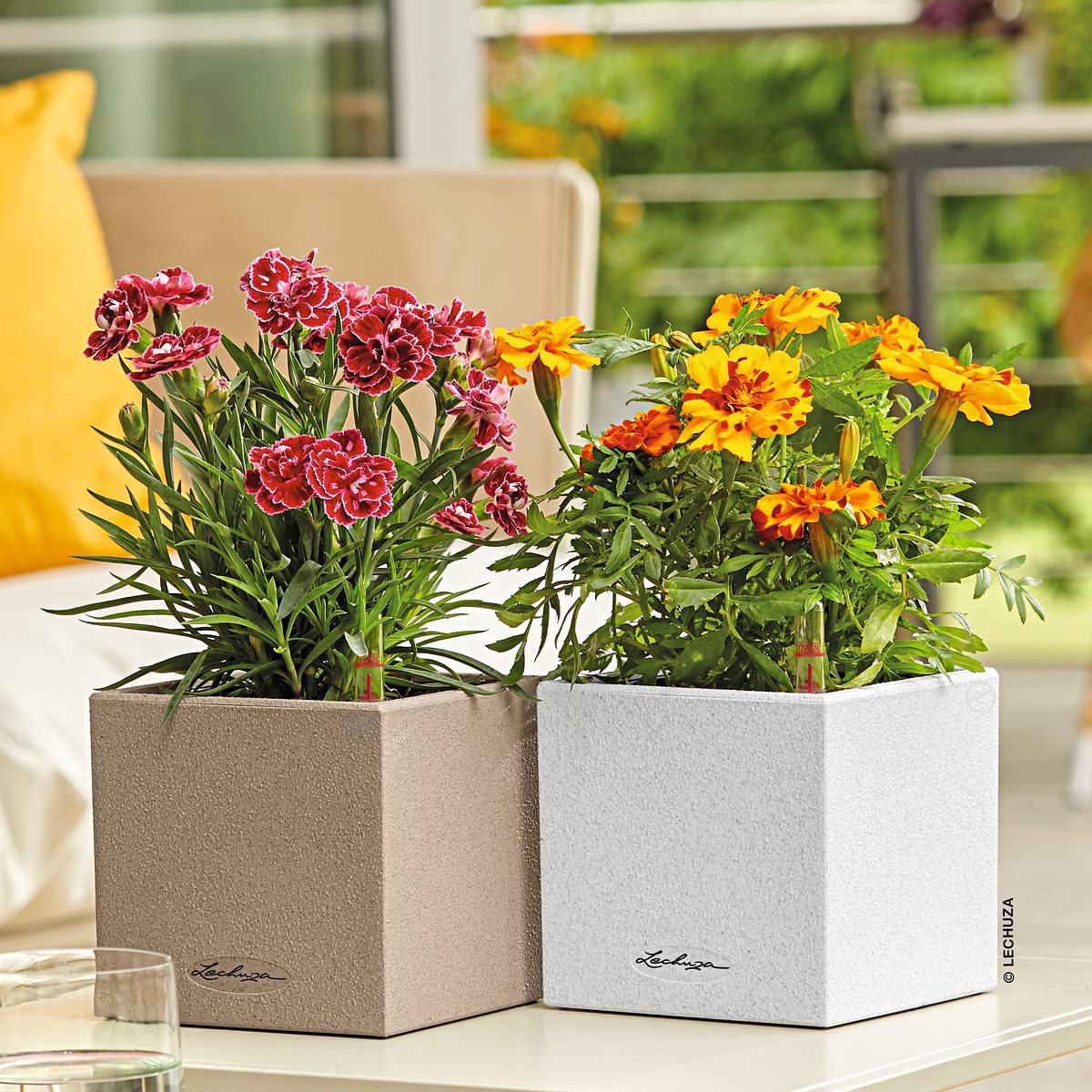Lechuza Canto Stone 14 - Planter - with removable inner pot
