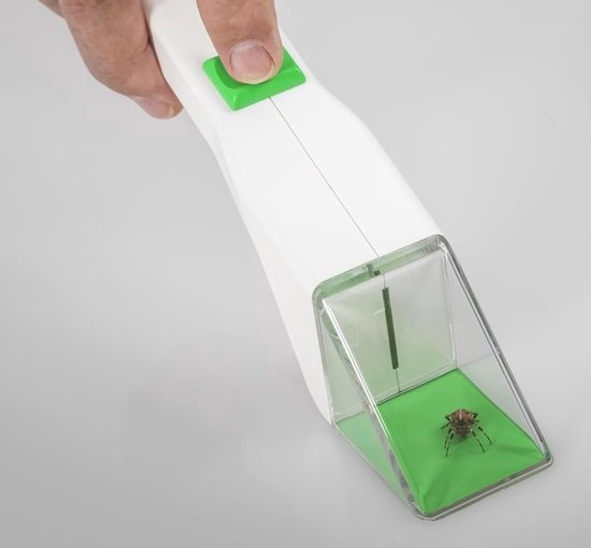 Insectenvanger Met Lange Steel - Vlieg Vanger Voor Binnen en Buiten