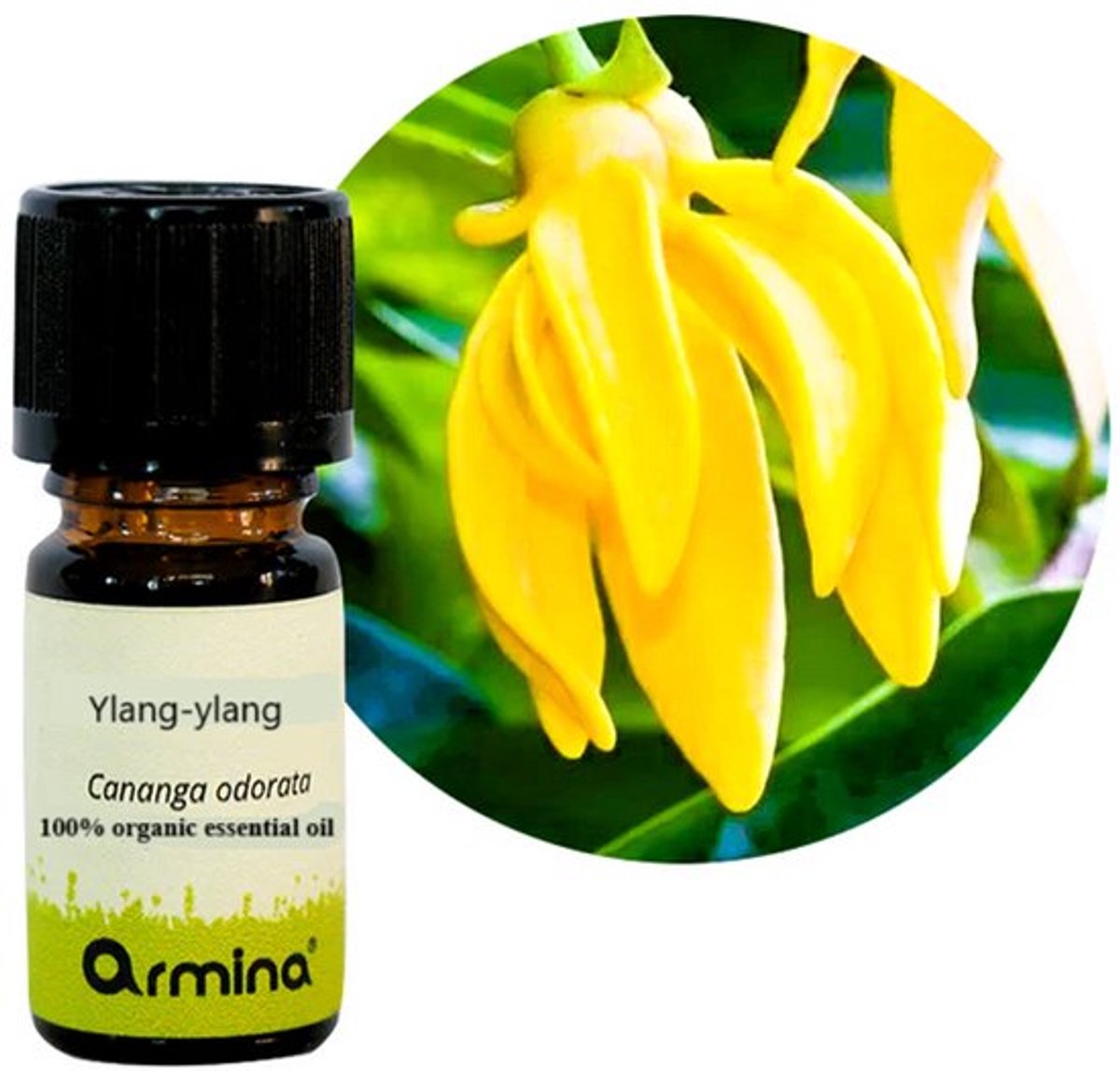 Armina - Ylang-ylang Biologische Essentiële Olie