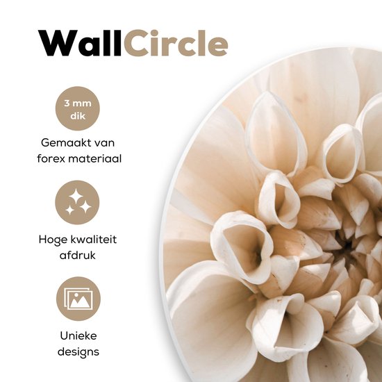 Wandcirkel met close-up van dahlia, 3mm dik, forex materiaal, hoge kwaliteit.
