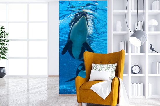 Papier peint photo Orcas - Deux Orcas sous l' eau largeur 120 cm x hauteur 240 cm - impression photo sur papier peint en vinyle (disponible en 7 tailles) - chambre / chambre / bureau de vie