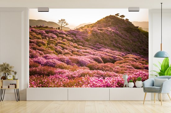 Papier peint photo peint photo vinyle - Paysage de bruyère vallonnée largeur 330 cm x hauteur 220 cm - Tirage photo sur papier peint (disponible en 7 tailles)