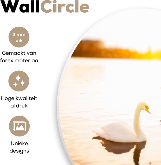 Deux cygnes nagent dans l'eau pendant un coucher de soleil lumineux Assiette en plastique cercle mural Ø 30 cm - impression photo sur cercle mural / cercle vivant (décoration murale)
