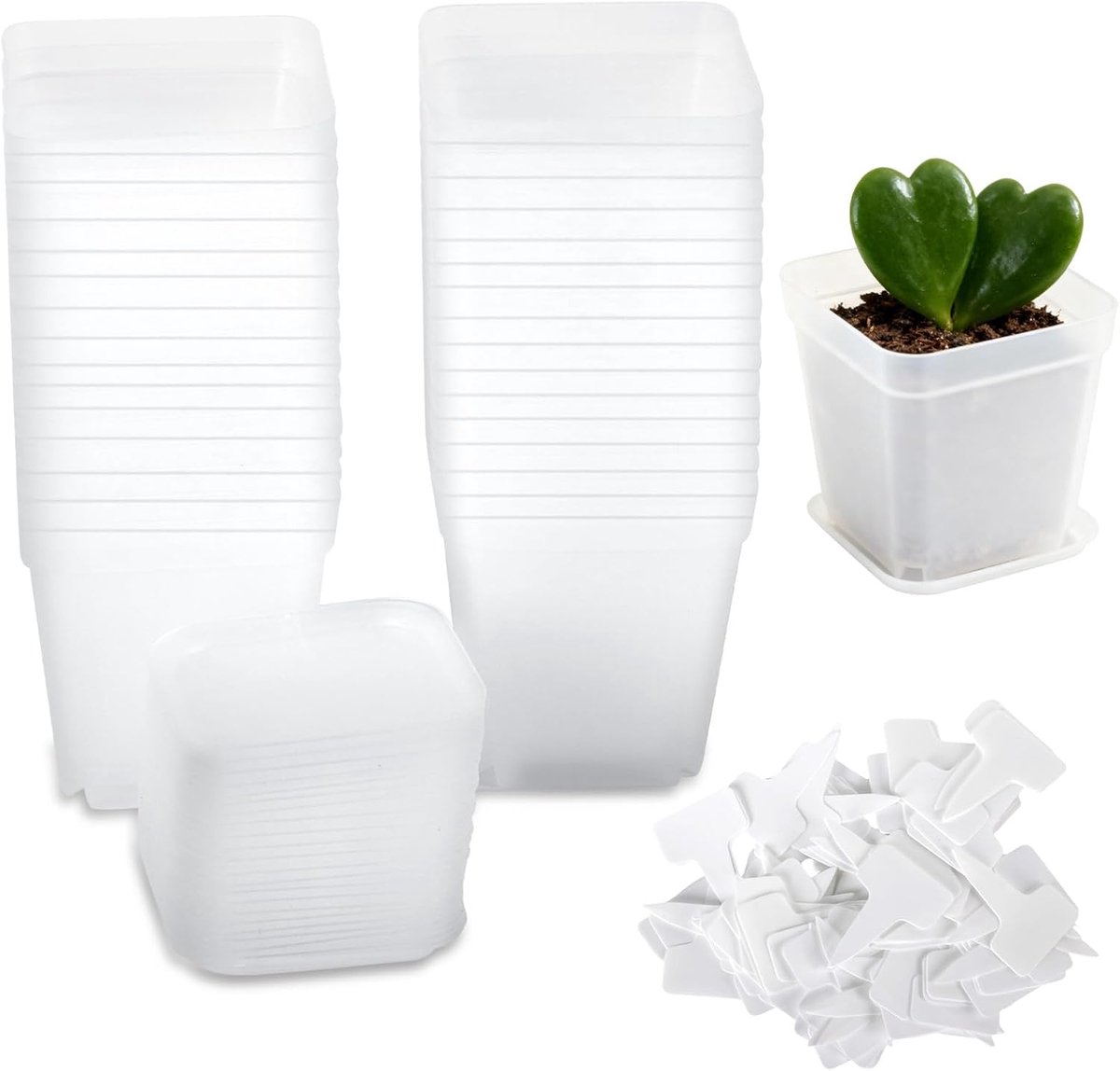 Bloempotten Ø 7cm - Mini Plantenpotten Met Schoteltjes en Labels - Voor Zaden, Vetplanten en Zaailingen - Set met Onderbakjes