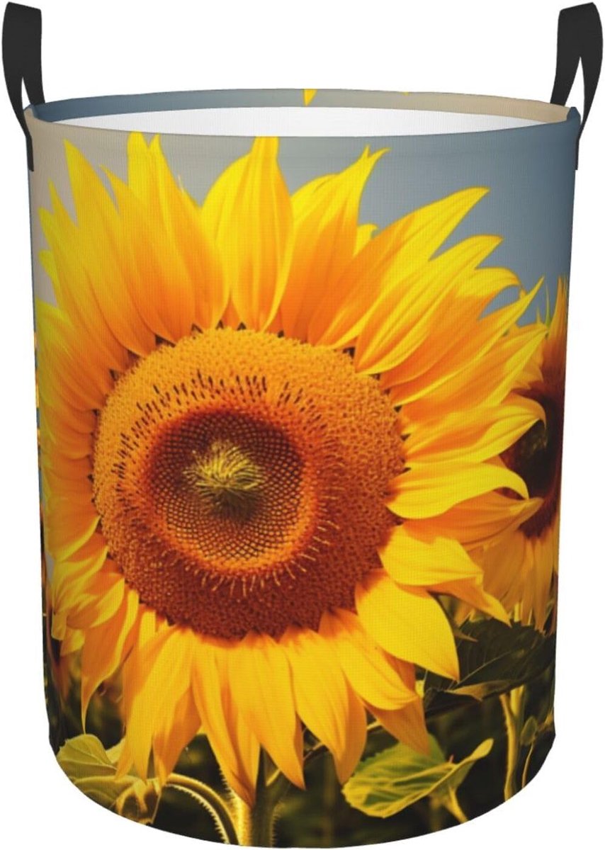 Wasmand Vuile Kleren Mand Kleding Opbergen Met Handvatten Maat M Zwart