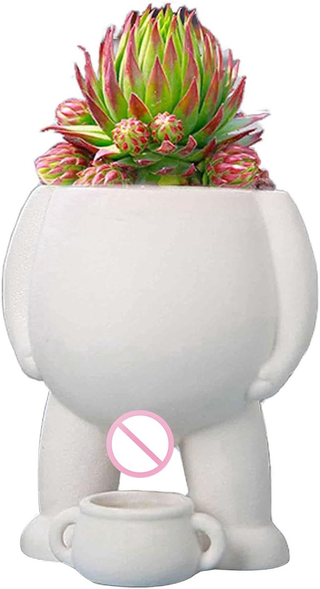 Unieke vaas - Decoratieve pot - Kamerplanten decoreren - Humoristisch design - 13 x 10 x 9.5 cm - Wit