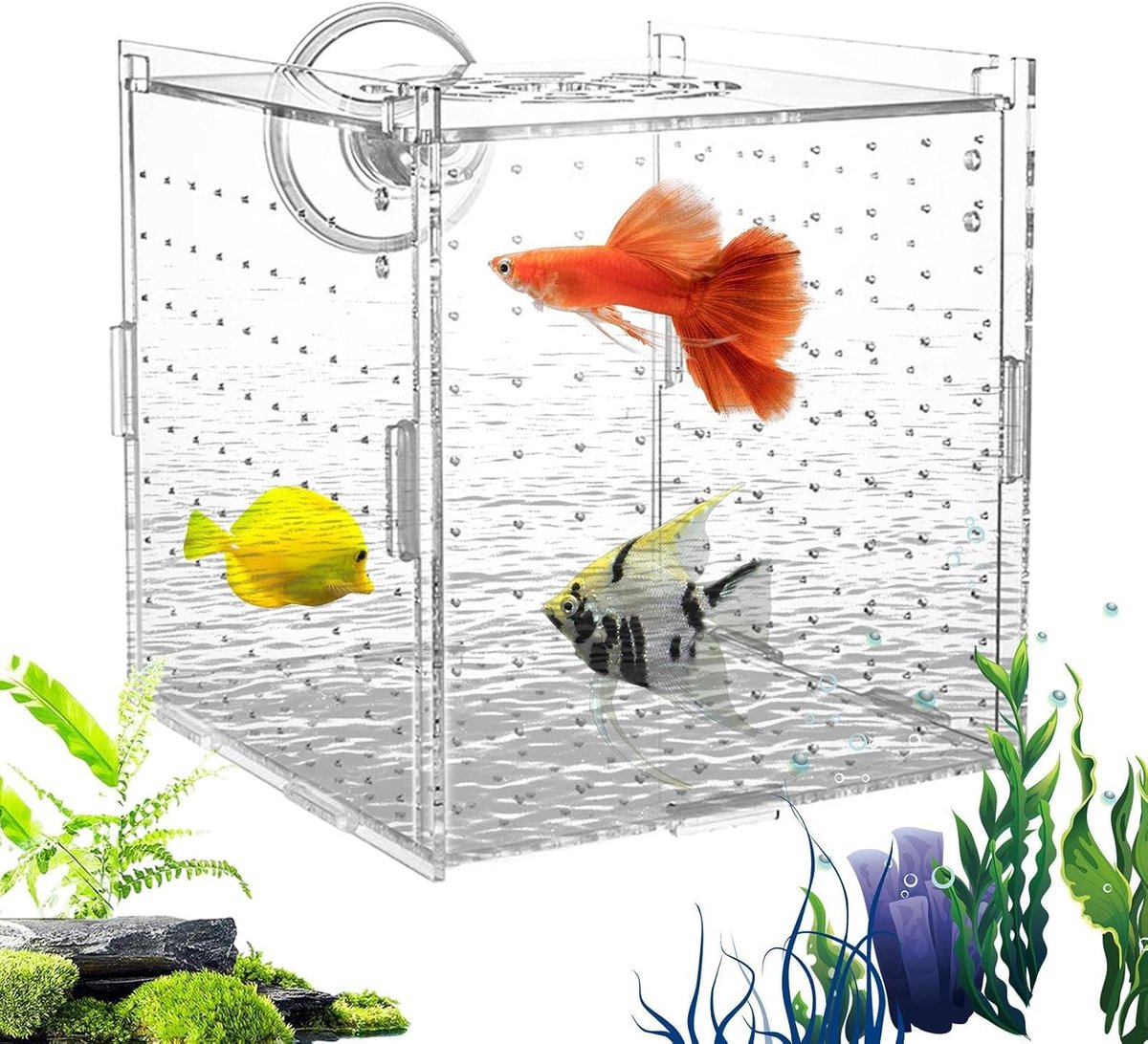 Aquarium Kweekbox - Vis Scheider - Vissen Kweken - Stabiele Acryl - 10x10x10cm - Transparant