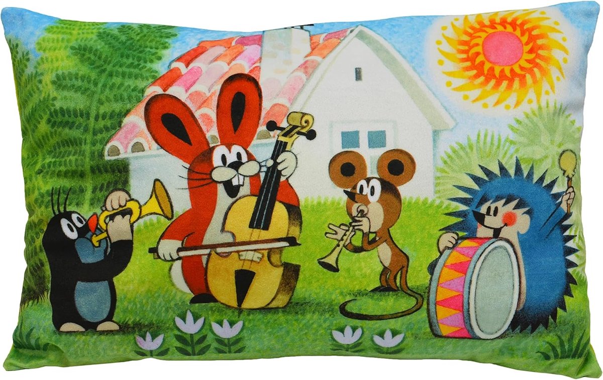 Kussenhoes Lumbar 45x30cm - Multicolor - Kleine Mol - Perfect voor kinderen - ShopVlot