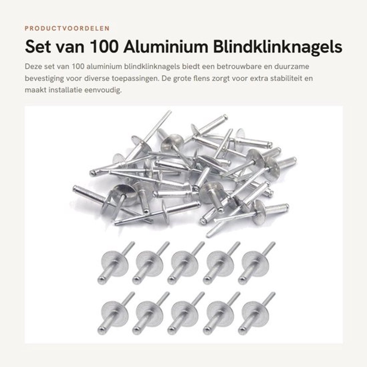 Set van 100 Aluminium Blindklinknagels met Grote Flens