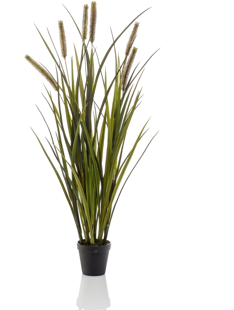 Emerald Kunstplant Kattenstaart Gras kort 85cm - Kunstplant voor binnen Groen