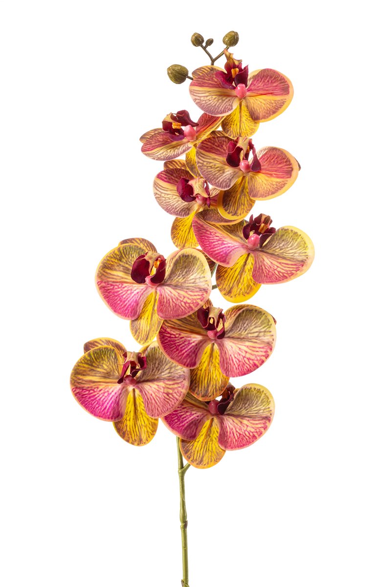 Emerald Kunstbloem Phalaenopsis RT 95cm geel/roze - Kunstplant voor binnen
