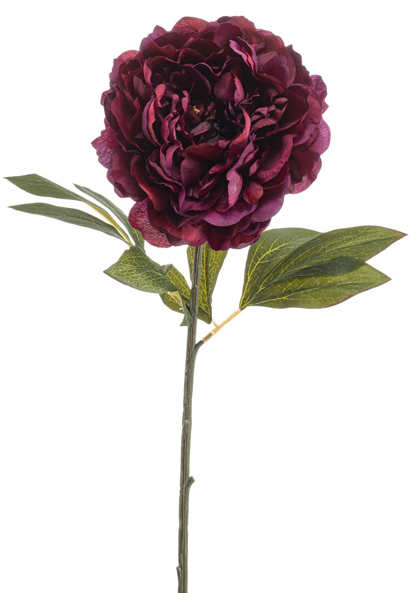 Emerald Kunstbloem Pioenroos 77cm bordeaux - Kunstplant voor binnen