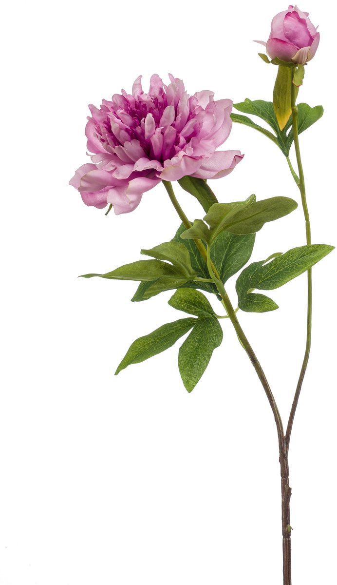 Emerald Kunstbloem Pioenroos Sarah 73cm lila - Kunstplant voor binnen
