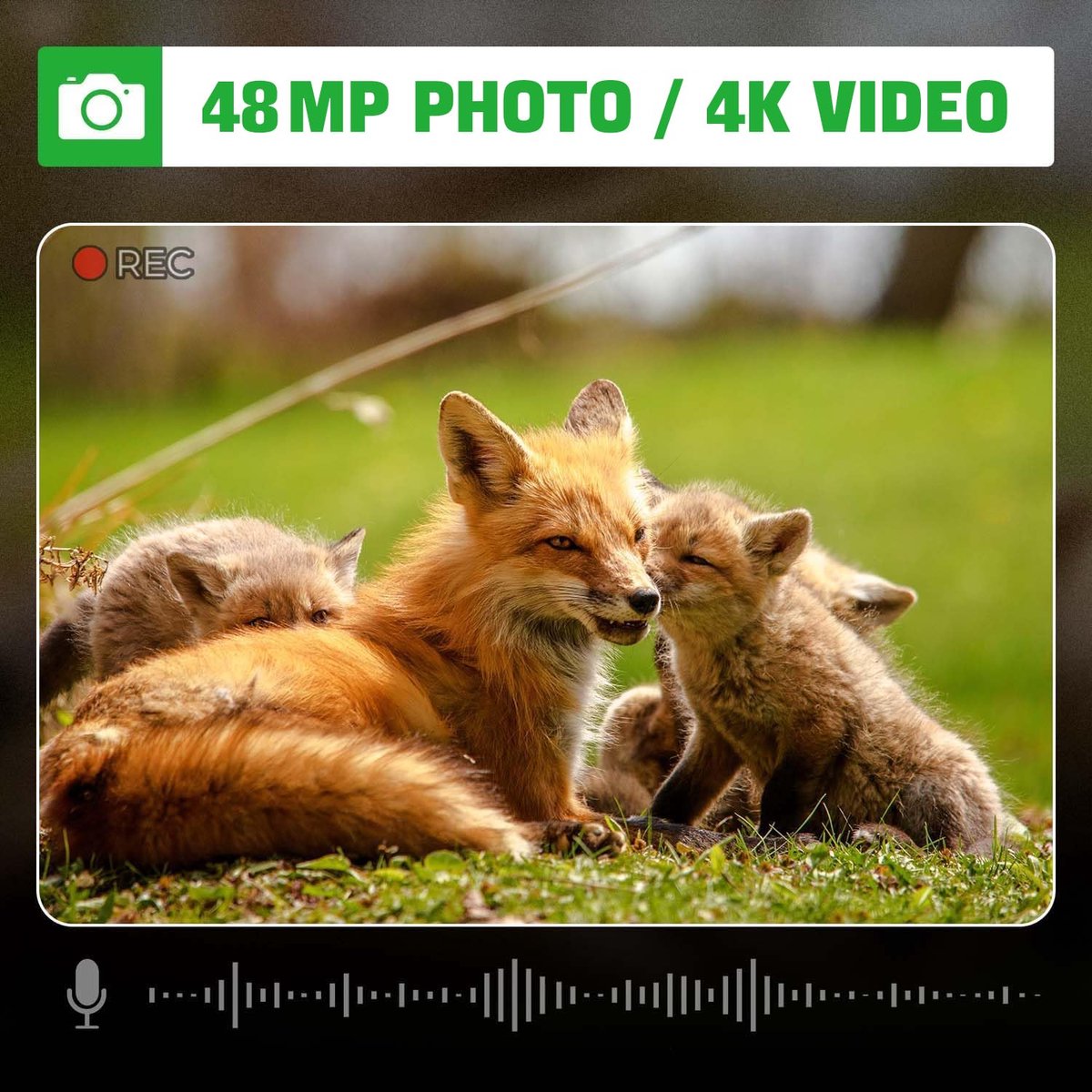 SnelShoppen - Coolifepro Wildcamera 4K Video 48MP met Nachtzicht, Bewegingsmelder, 35 m Detectiebereik, IP66 Waterdicht, Inclusief 32 GB SD-kaart voor