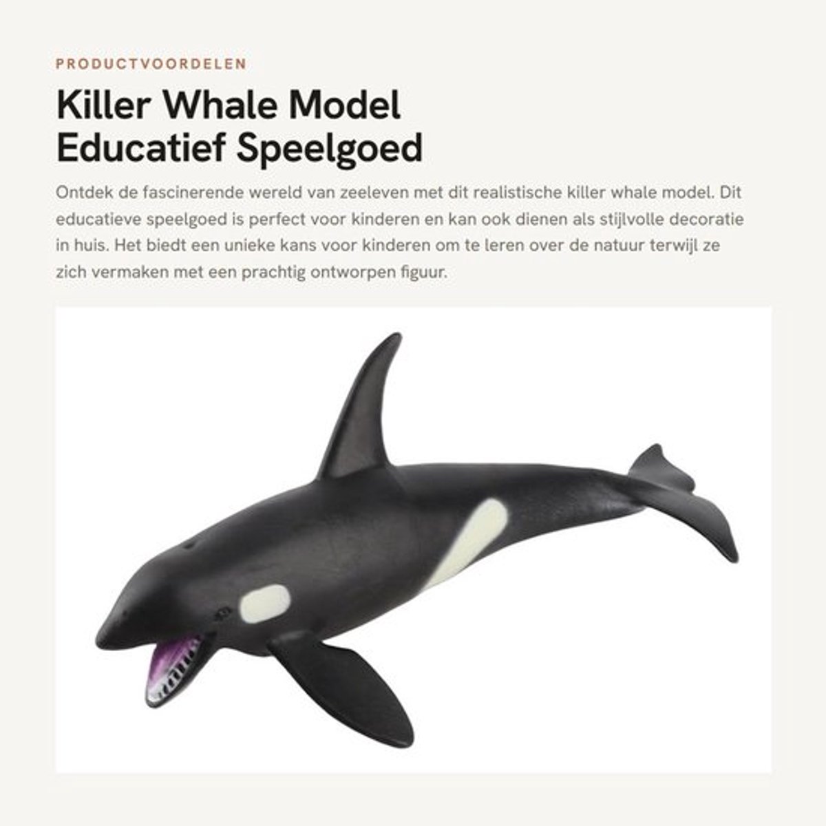 Walvis Model Educatief - Dierenfiguren Speelgoed - Huisdecoratie - Verjaardagscadeau - Creatief Spel - Realistisch Dierenfiguur