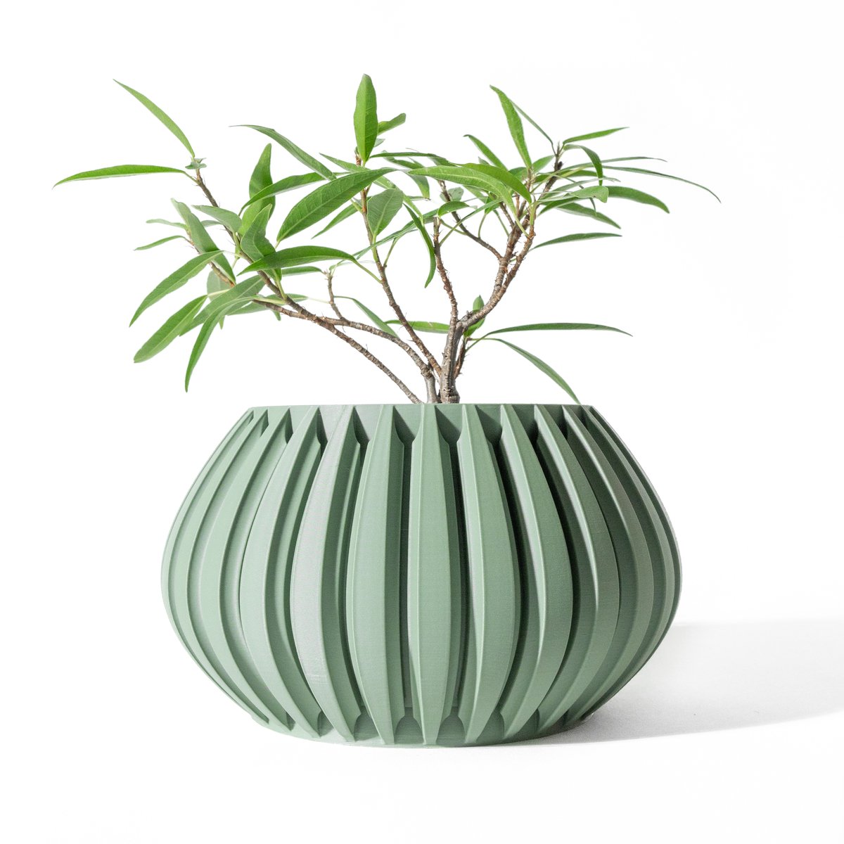 Skushy Leno Bloempot - Moderne Designpot voor Kamerplanten - Sculpturale Plantenpot voor Woonkamer en Kantoor - Premium Woondecoratie