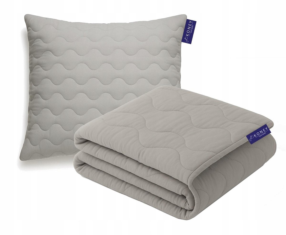 KONEY - Dekbedset 140 x 200 cm met hoofdkussen 70 x 80 cm - Grijs - all year