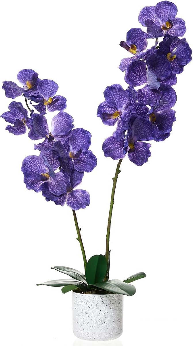 Kunst Orchidee Paars - Twee stuks PEVA - Milieuvriendelijk - 80x11.5x12.5cm