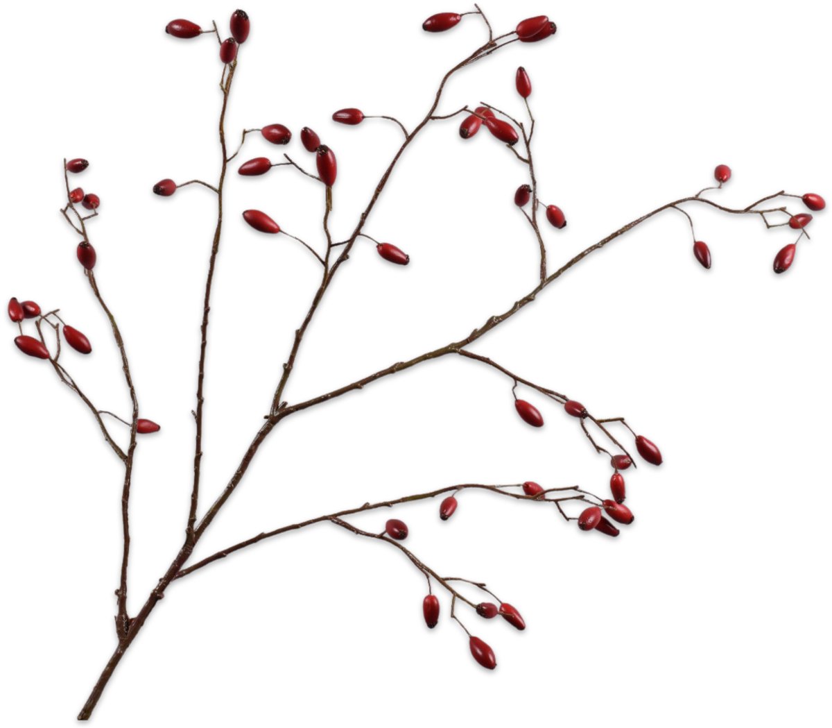 Silk-ka Kunstbloem-Zijden Bloem Rozenbottel Tak Rood 115 cm