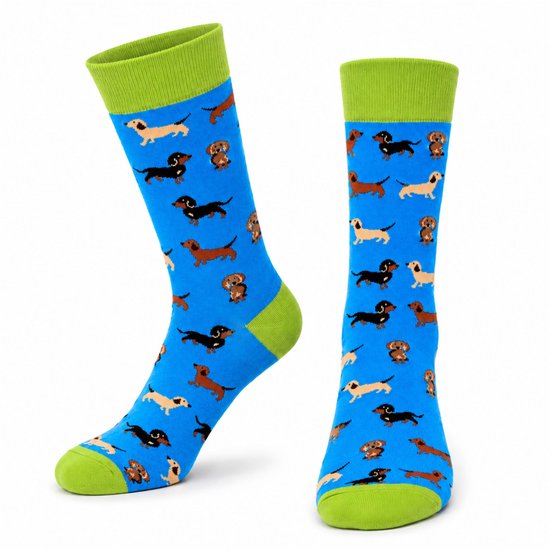 Blauwe sokken met vrolijke teckels in verschillende kleuren en een groene boord en neus.