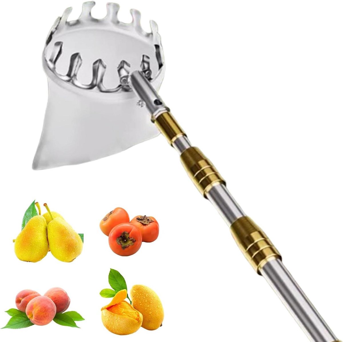 Fruitplukstok - Fruitgrijper - Fruit Oogsten - Telescopische Steel - 5 Meter - Zilver