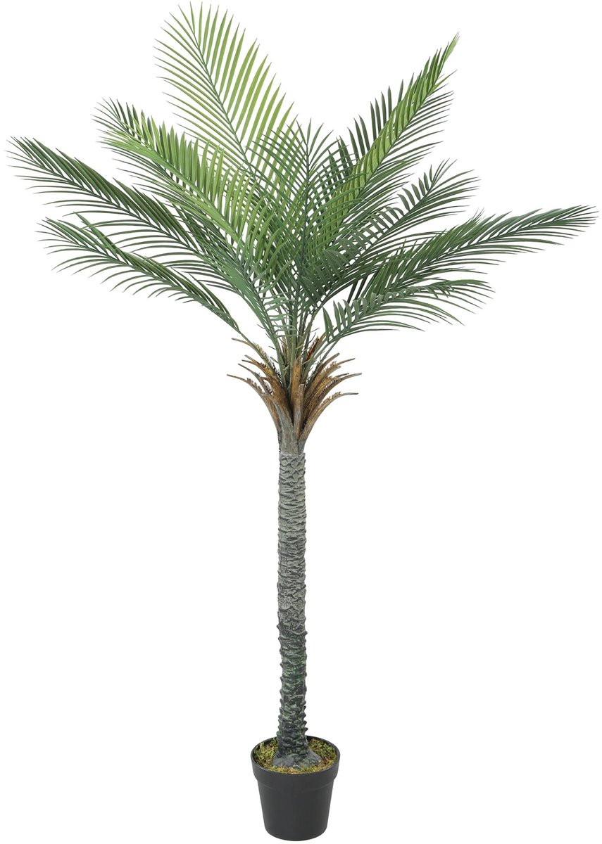 Atlasyx kunstplant - Kunstbloemen - Kunstgras - Nepplant - Kunstboom - Kunstplanten voor binnen - Onderhoudsvrij - 80 x 60 x 180cm