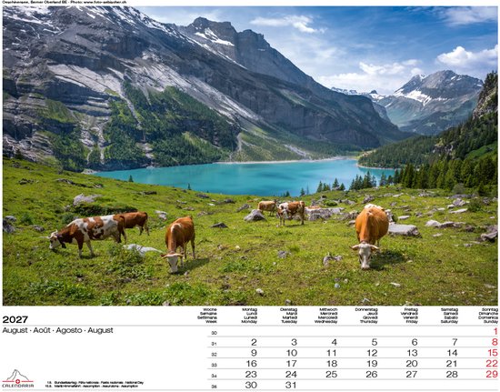 Alpenweide met grazende koeien en turkooizen bergmeer.