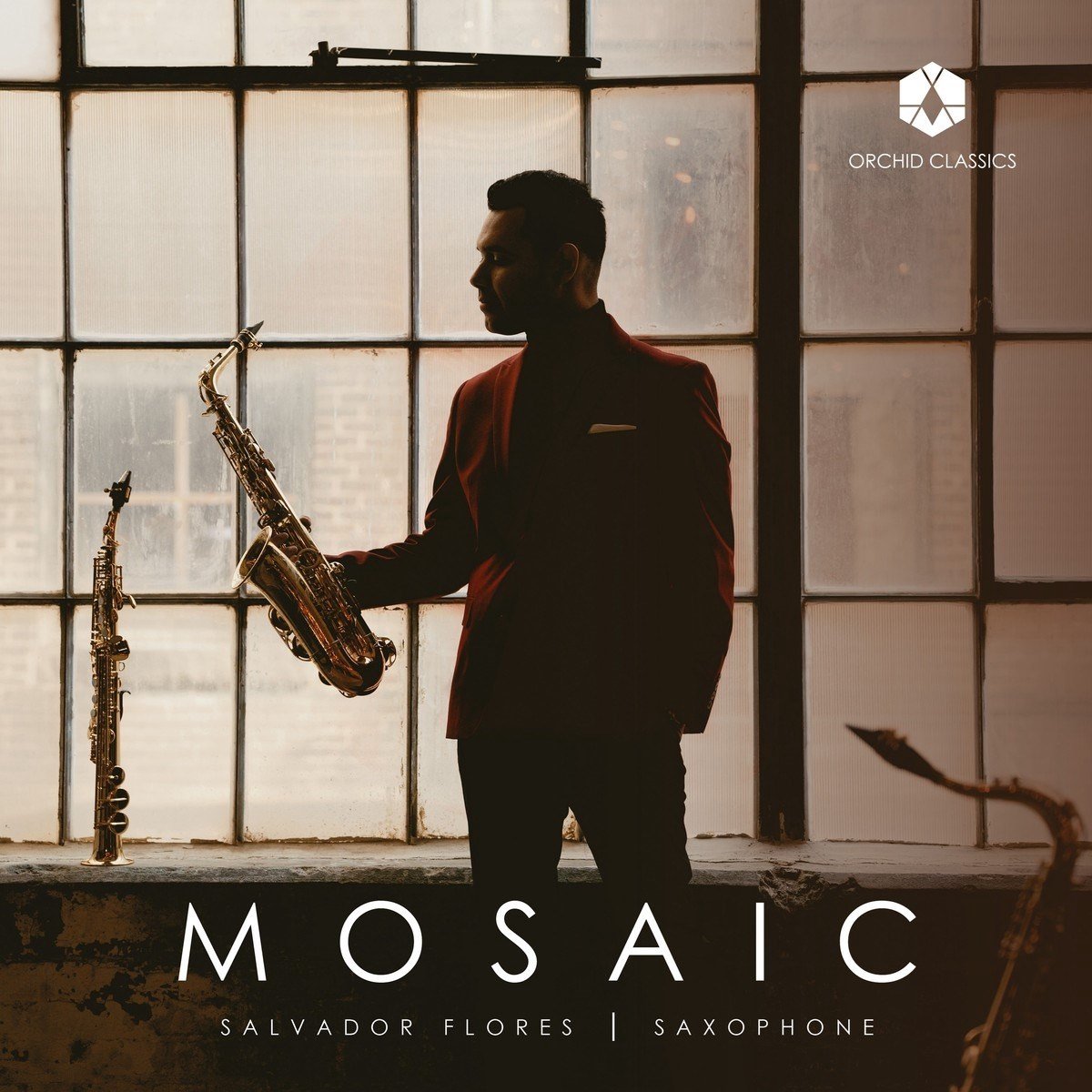 Liz Ames & Salvador Flores - Mosaic (LP)