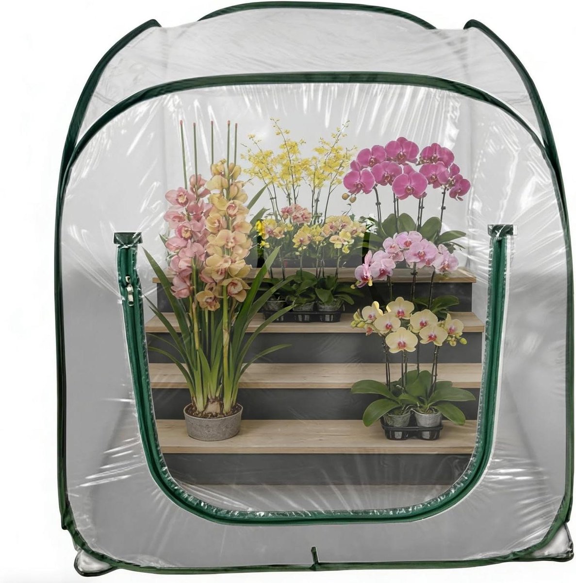 Tuinkas Inklapbaar - Mini Broeikas Plantenhuis - Planten Beschermen - Snel Opbouwbaar - 98 x 98 x 98 cm - Transparant