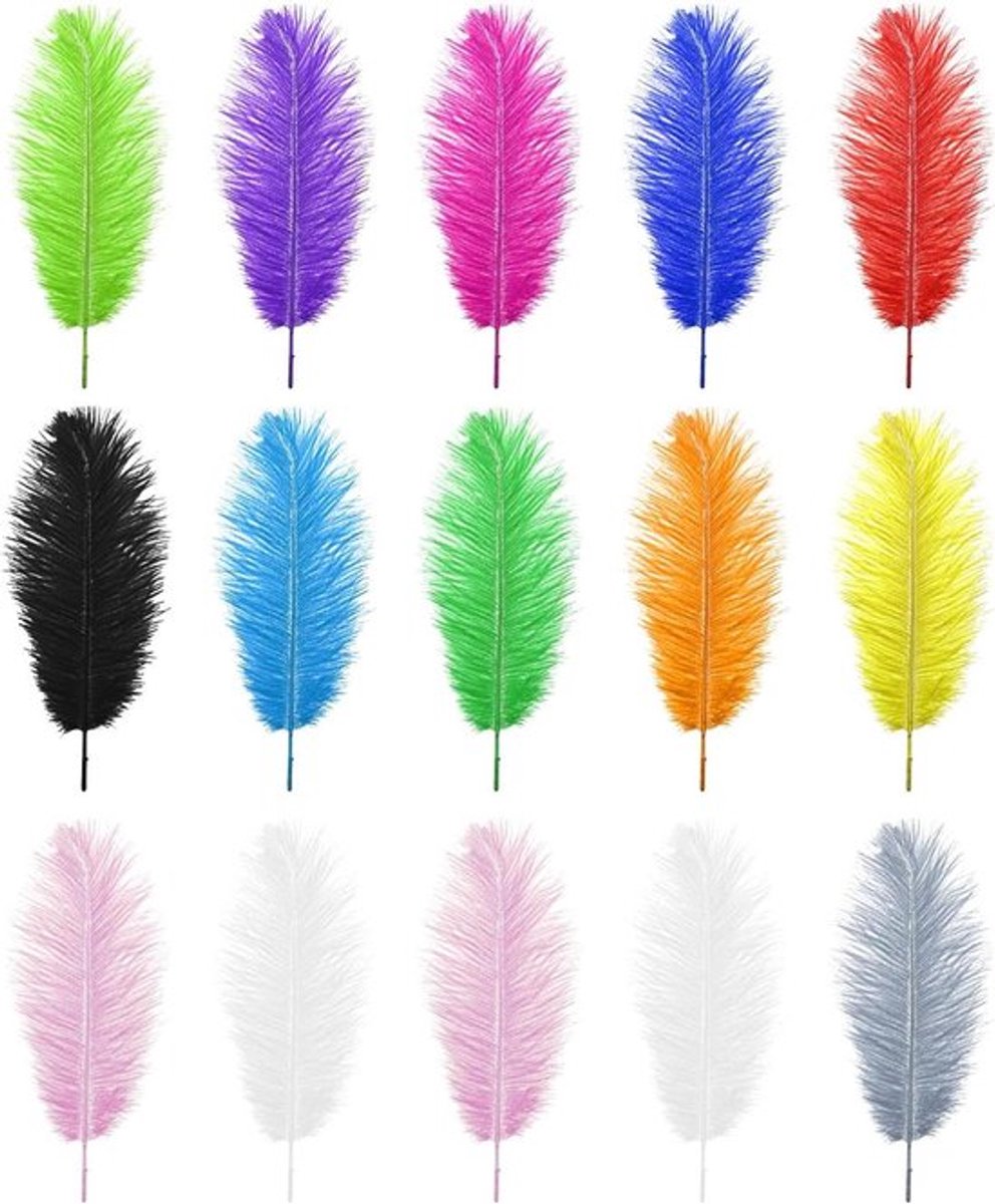 - Natuurlijke Struisvogelveren - Gemengde Kleurrijke Veren - 25-30cm - DIY Craft Art Ontwerp - Niet-Giftige - Geurloze - Dromenvangers - Bruiloft - Woondecoratie 15 stuks.