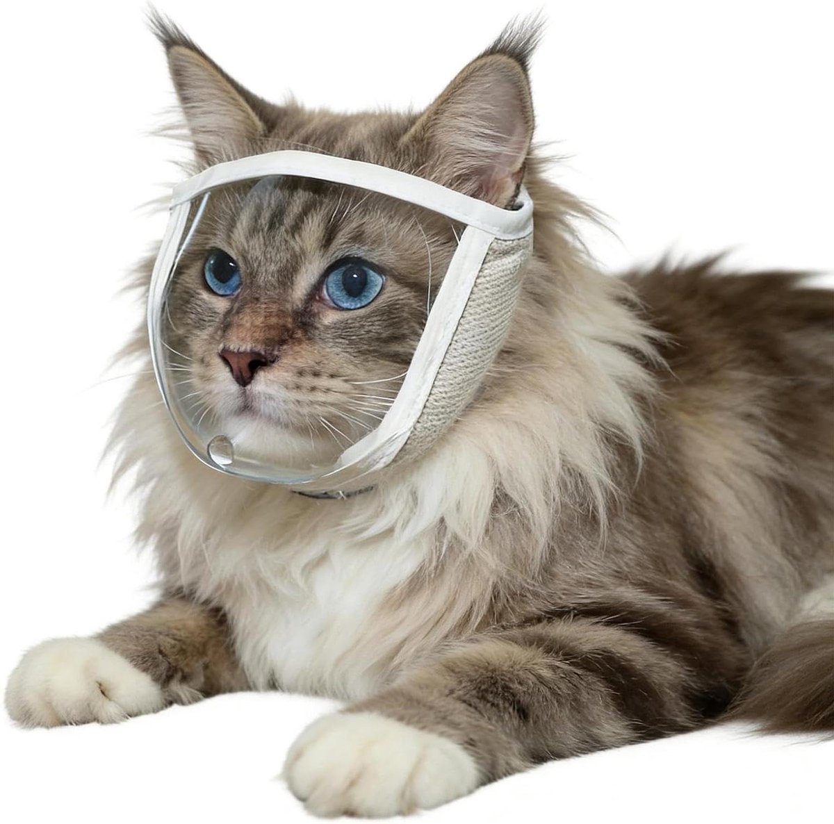 Kattenmuilkorf - Kattenkap Verzorging - Nagels Trimmen - Transparant Ademend - Maat M - Wit