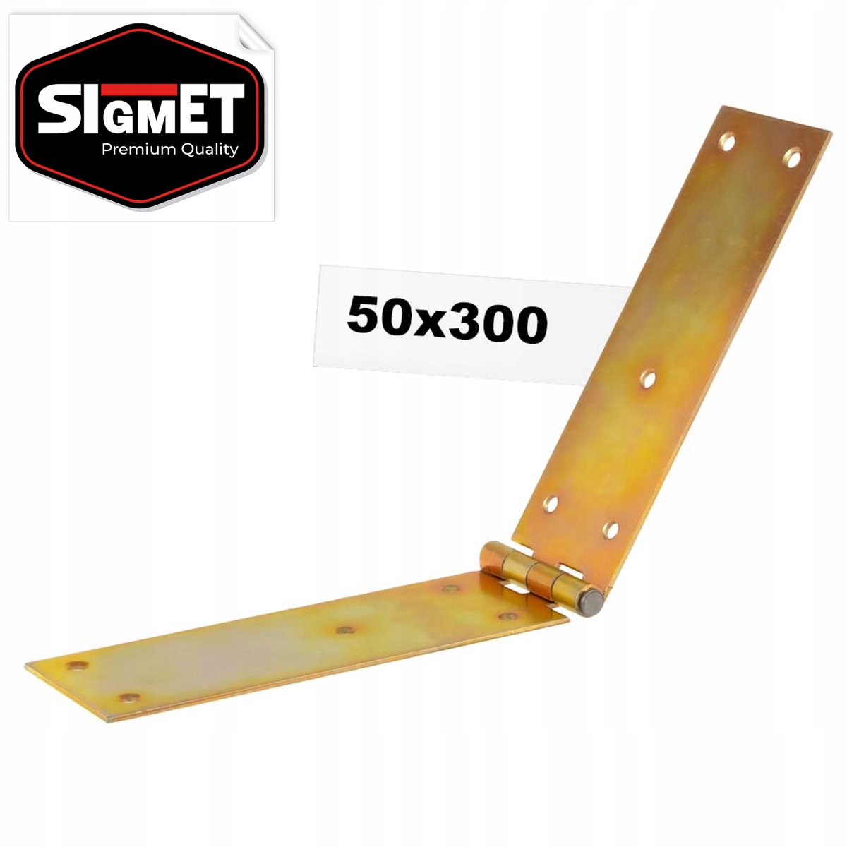 Bouwscharnier 50x300 mm Vlochten deurscharnier