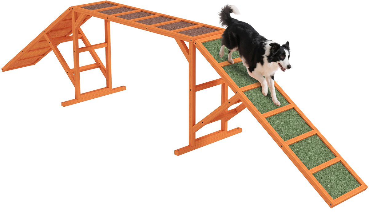 Behendigheidsramp voor honden - hindernisbaan - antislip - weerbestendig - hout - 335 x 55 x 60 cm - oranje