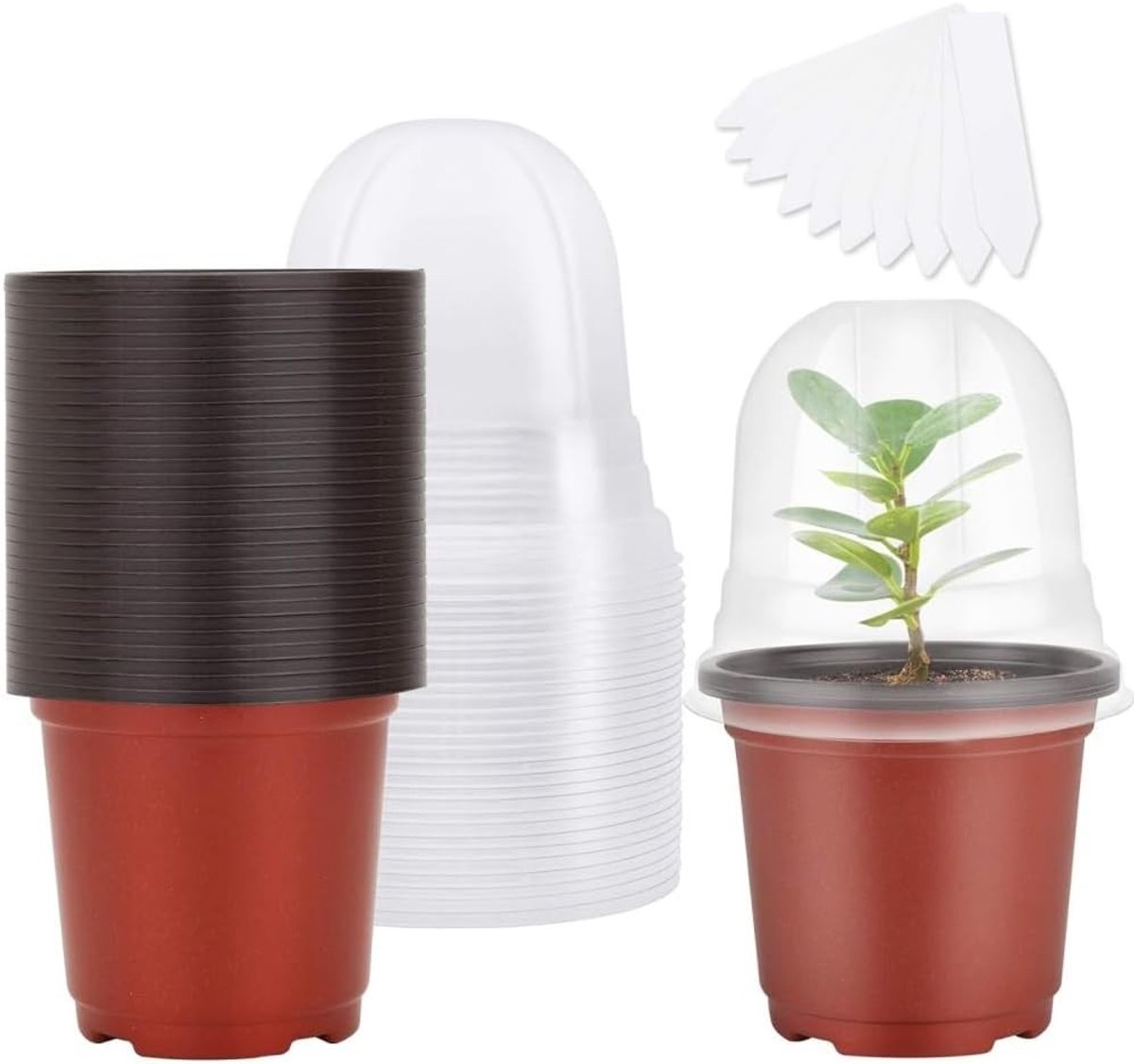 10 Stuks 10cm Kweekpotten met Dome Deksel, Kleine Plastic Plantpotten voor Zaden en Zaailingen, Ideaal voor Tuinieren en Plantenverzorging