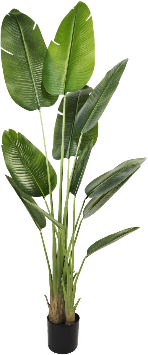 REDOM Kunstplant 202 cm – Kunstplantje Traveler's Palm – Natuurlijke Uitstraling – Onderhoudsvrij – Woonkamer & Kantoor – Kunstplanten Decoratie – PE Kunststof – Groen