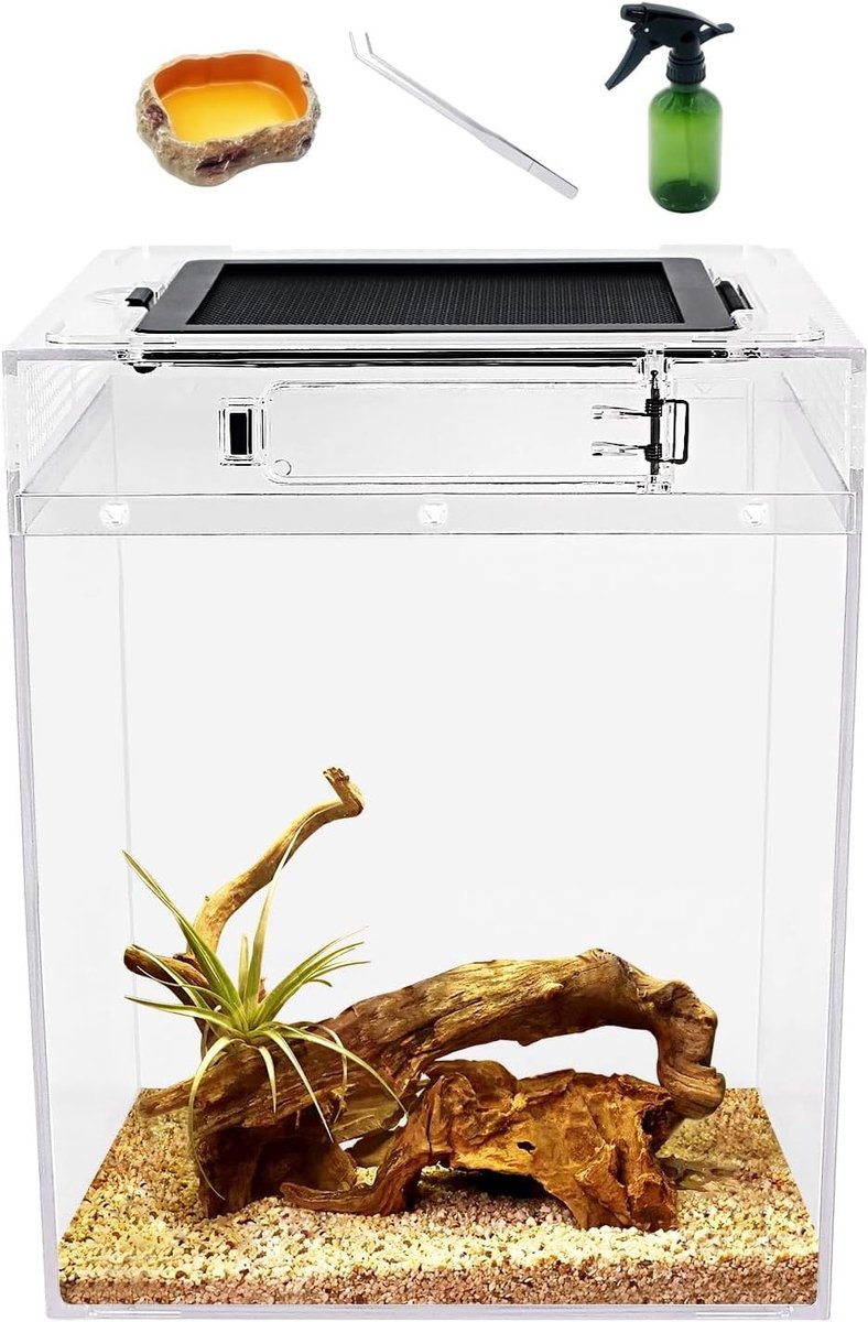 Terrarium - Doorzichtig - 20 x 20 x 28 cm - Waterdichte Reptielenbak met Ventilatie - Voor Reptielen en Amfibieën