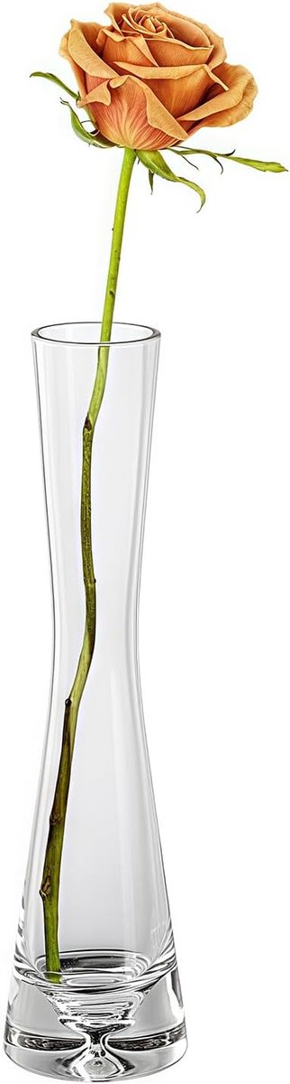 Glazen vaas 25cm - Handgemaakt - Smalle hals - Perfect voor bloemen - SnelShoppen