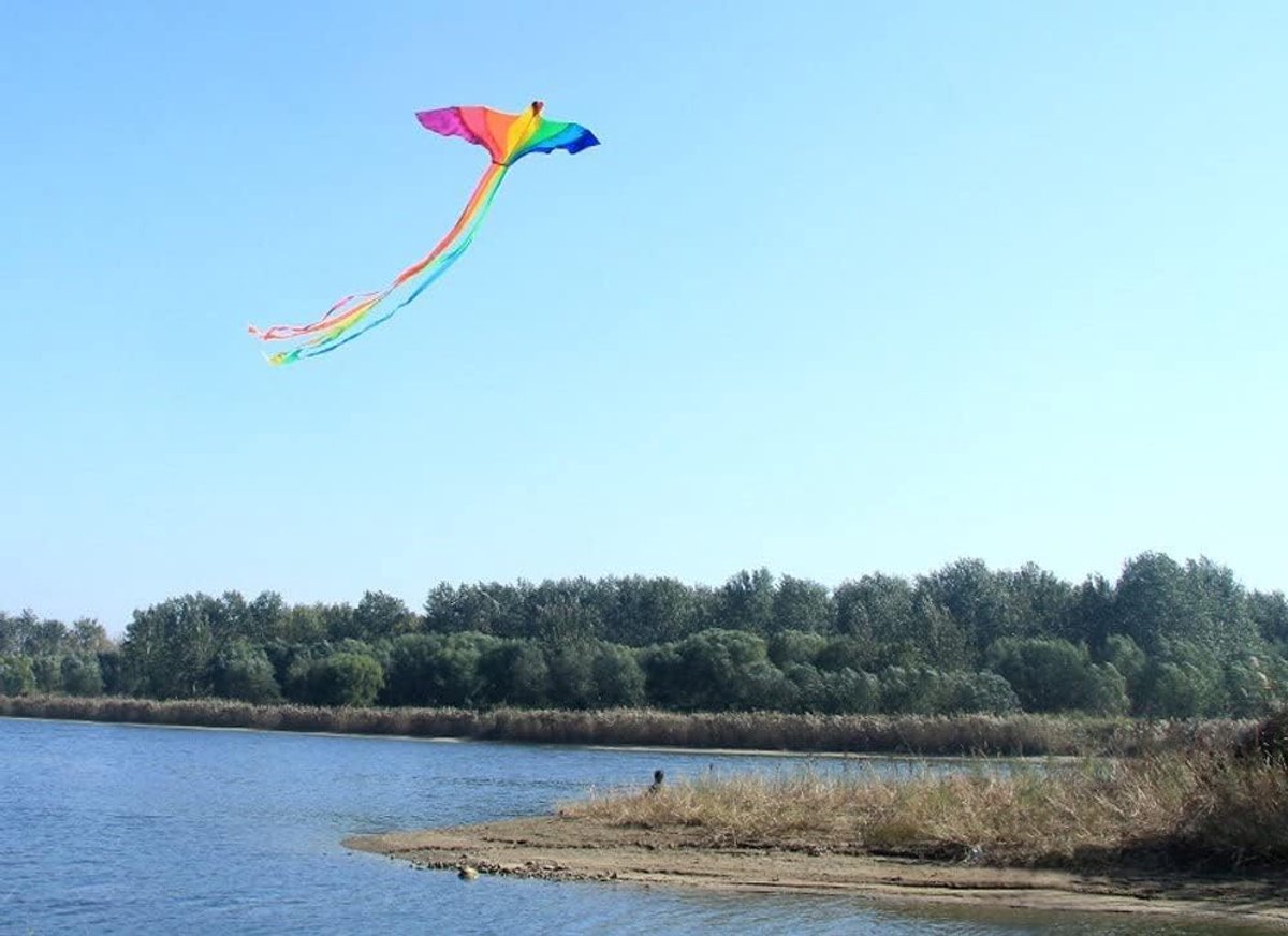 Vlieger Phoenix Draak 74 Inch - sterke kwaliteit - kleurrijke lange staart - perfect voor beginners - ShopVlot