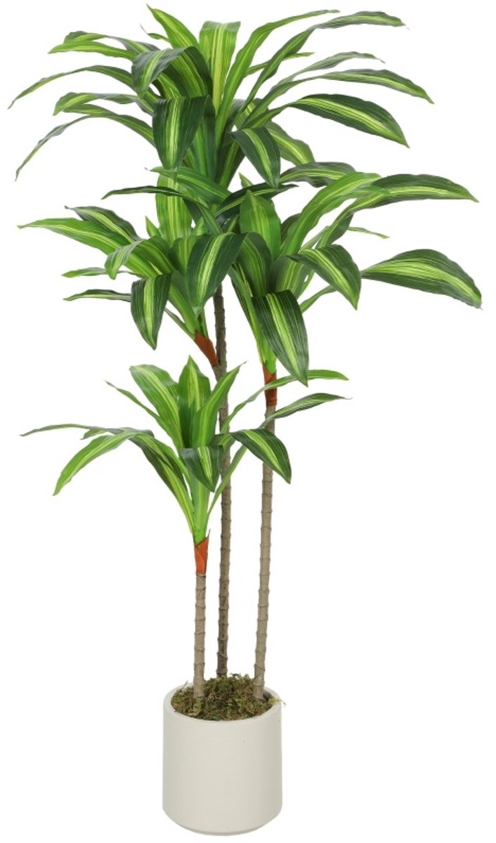 FloraGrace Dracaena – Buigbare Stammen – 120 Cm – Kunststof – Groen – Kamerplant Voor Woonkamer, Slaapkamer En Kantoor – Inclusief Pot