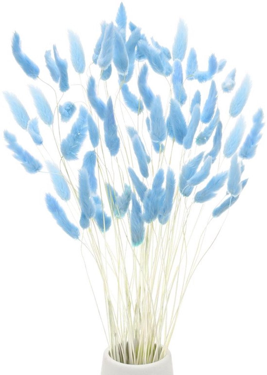 60 stuks konijnenstaartgras, 45 cm, konijnenstaart, pluizig, gras, gedroogde bloemen, takken, vaasvuller, decoratie van gedroogde pampasgras voor huis/vaas [lichtblauw]