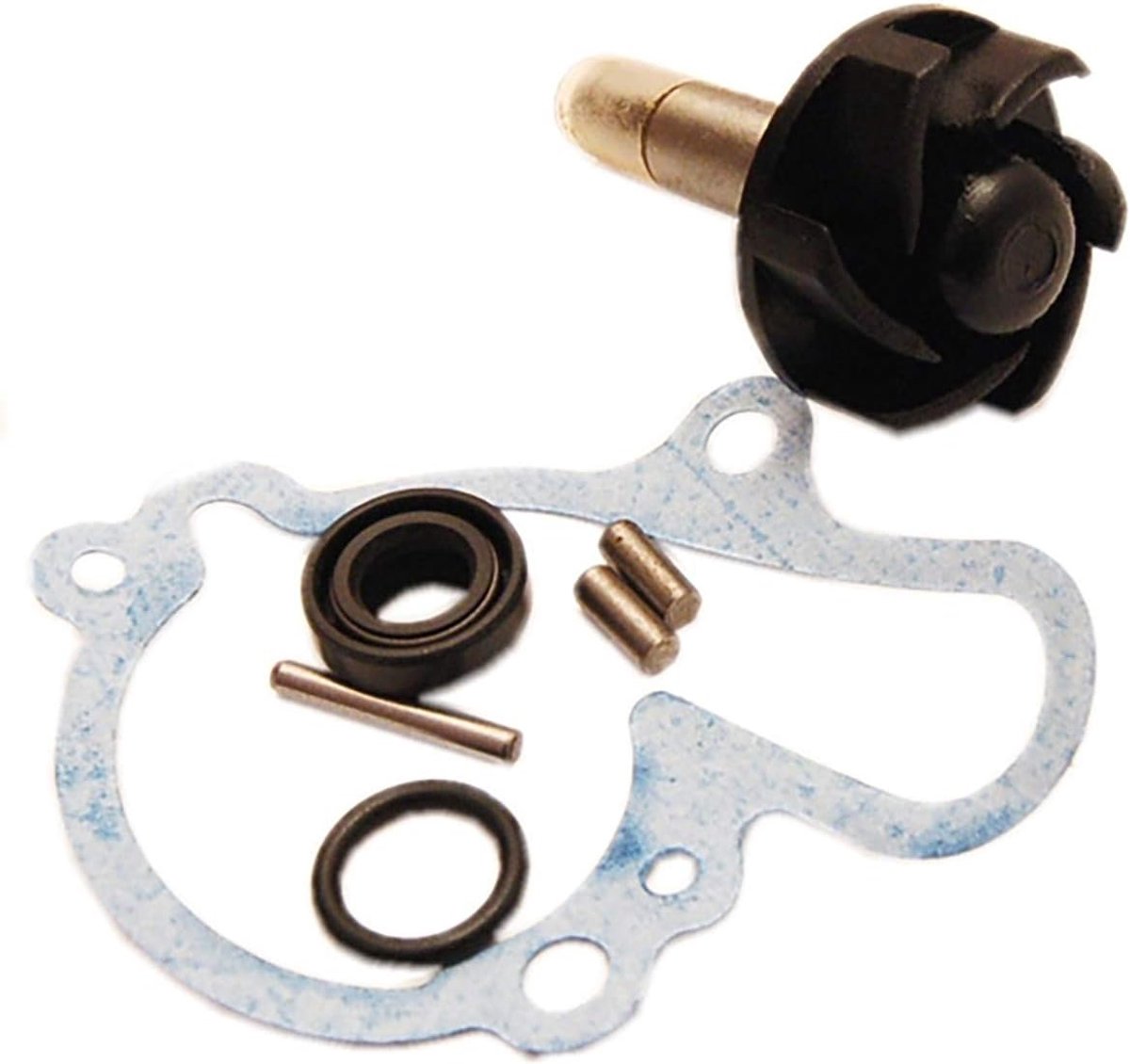 one by Camamoto cod 77093616 Waterpomp revisie set compatibel met minarelli engines am6 / Rs 50 2T- X-Limit 50- Sherco Hrd 50 2T Lc-Tzr 50 2T Lc-hm cre Derapage 50 2T Lc