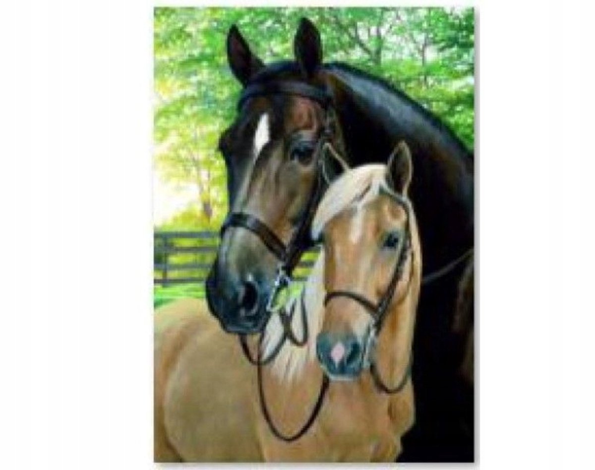 5D Diamond Mozaïek Schilderen Paarden 40x30cm Knutselkit