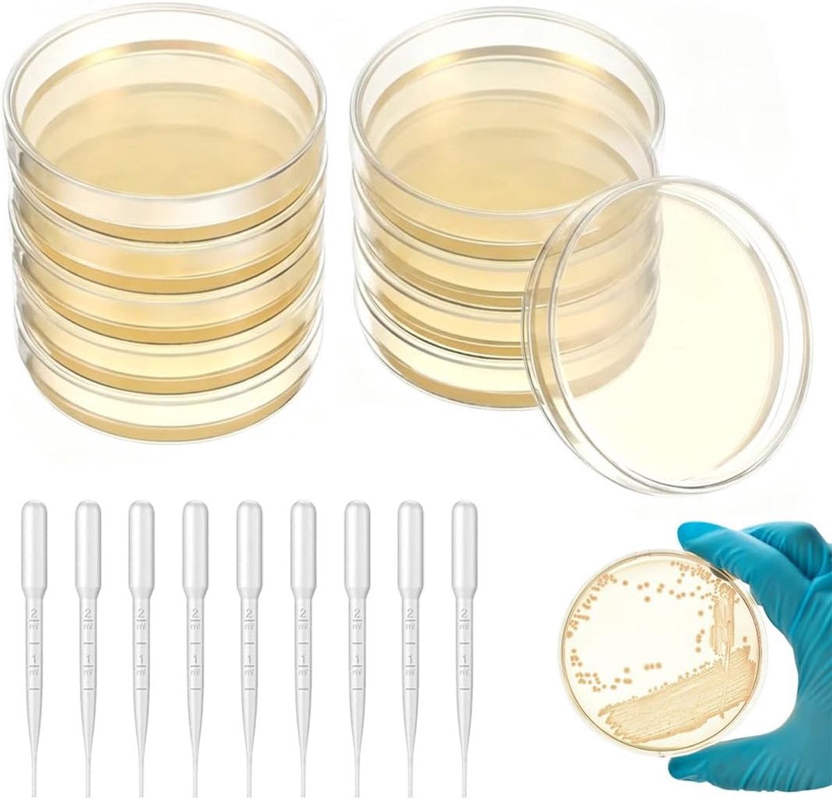 Petri dish set 9 stuks - plastic met deksel - transparant steriel - perfect voor microbiologie-experimenten - ShopVlot