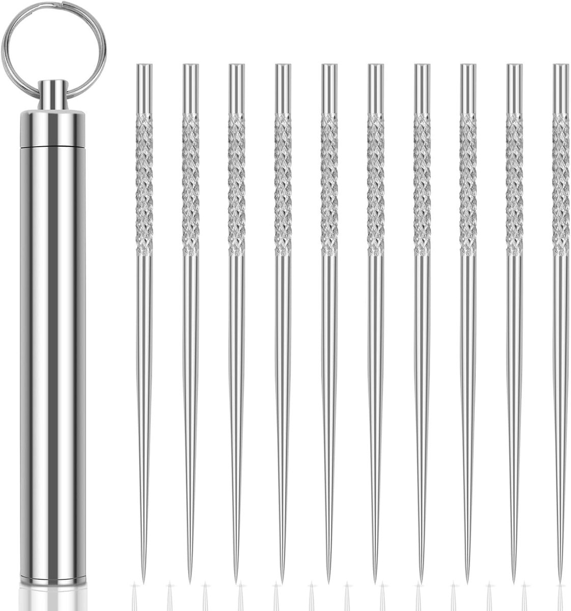 10 stuks draagbare roestvrijstalen tandenstokers, met roestvrijstalen tandenstokerbox, herbruikbare metalen tandenstokers voor outdoor, camping, picknick en reizen (zilver)