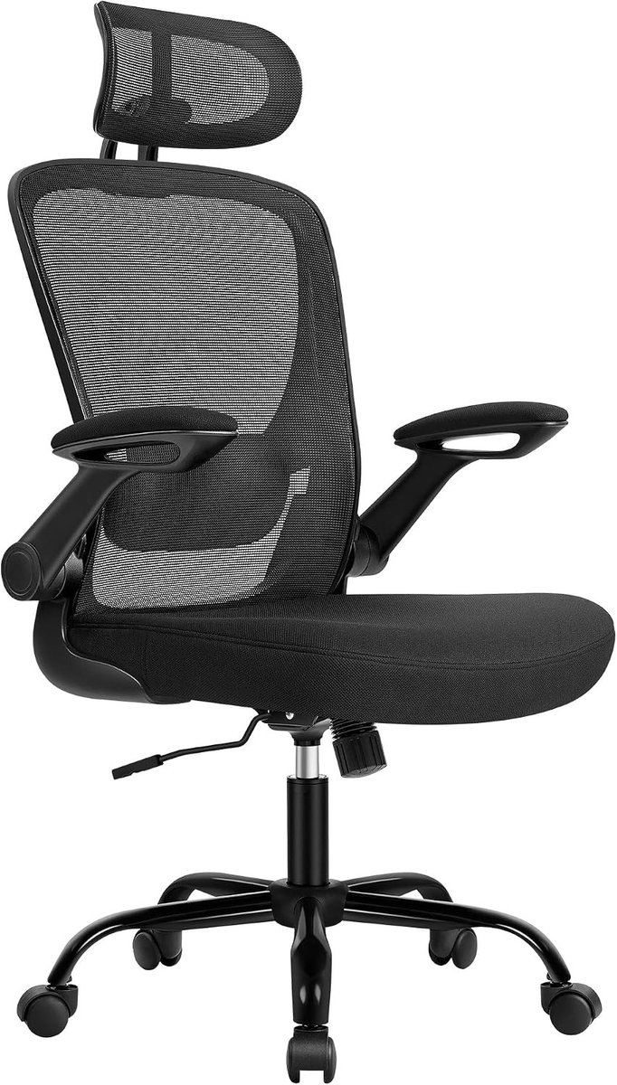 Ergonomische Bureaustoel - Verstelbare Bureaustoel met Hoofdsteun en Lendensteun - Mesh Computerstoel met Opklapbare Armleuningen, Schommelfunctie en Wielen - Draaistoel voor Kantoor, Thuiswerken en Gaming - Zwart/Zilver