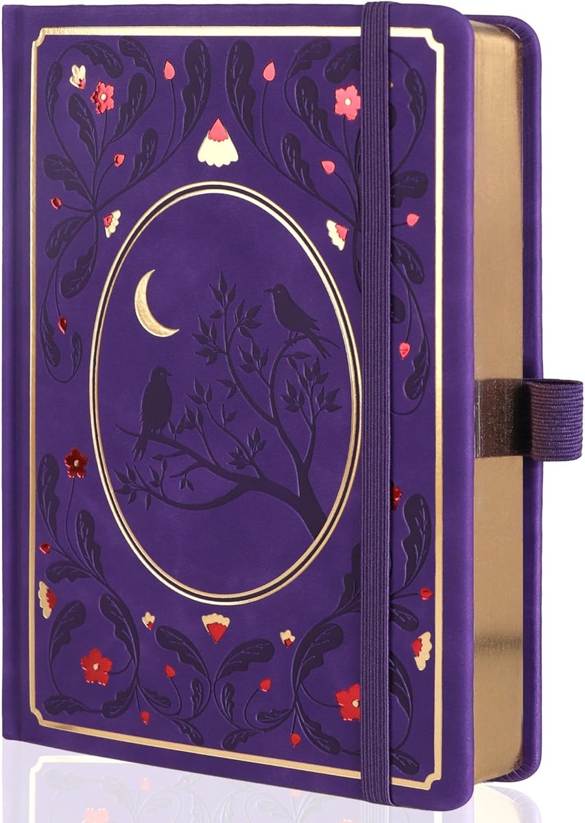 Dot Notitieboeken, A5 Hardcover Dot Dagboeken voor Schrijvende Vrouwen, 160 g/m² Dik Papier, 190 Genummerde Pagina's, voor Planner Organisatie