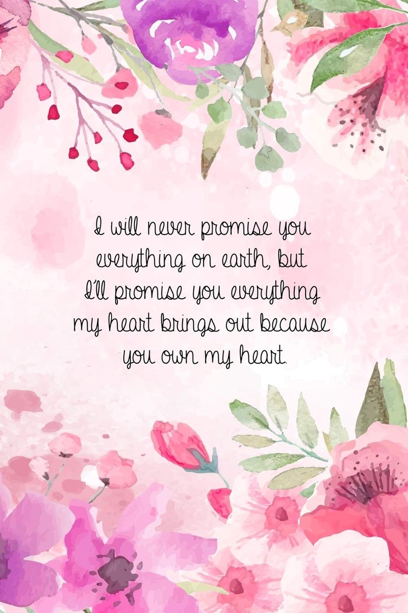 Will never promise you everything on earth, but I’ll promise you everything my heart brings out because you own my heart.: Gift for loved ones Couples Journal to celebrate love