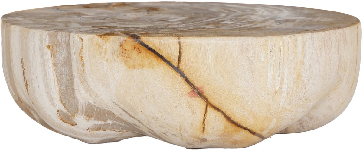 PTMD Bethe Natural Petrified Wood Half Ball Display S
