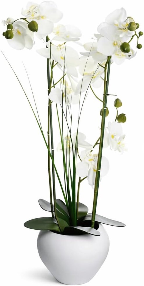 Kunstorchidee (Phalaenopsis) 53 cm - Witte keramische vaas - Realistische bloemen en bladeren - SnelShoppen